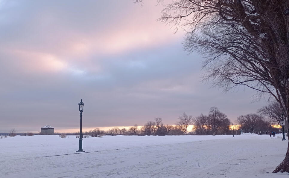 Plaine d'Abraham Hiver 2022