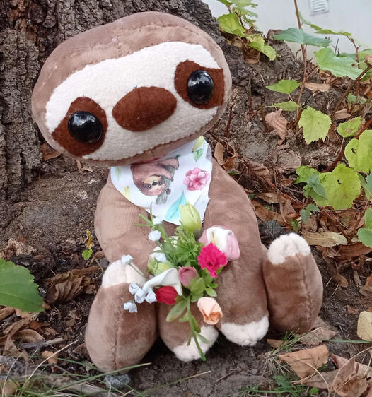 Sloth Sloth