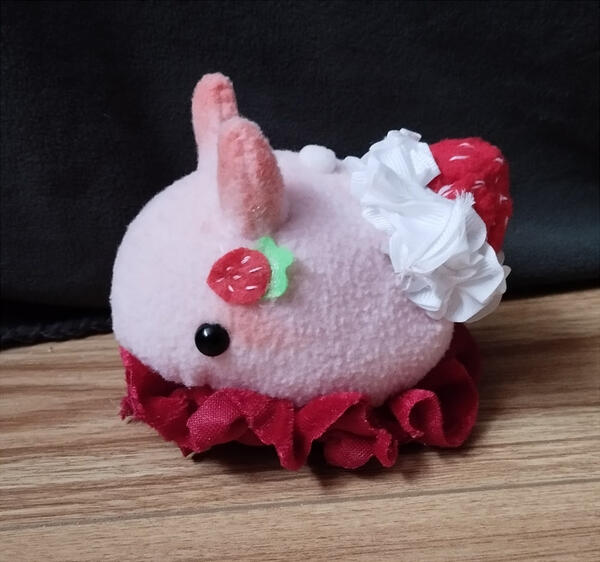 Strawberry bunny sea slug