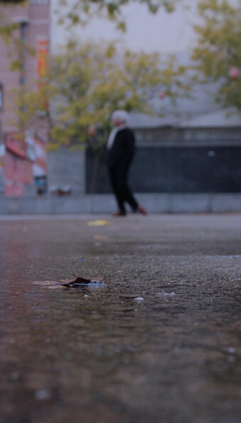 Untitled Autumn 2025